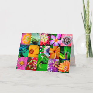 Flower Collage Garden Floral All Occasion Blank Holiday Card