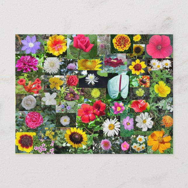 Flower Collage Postcard (Front)