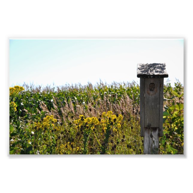 Flower Coop Photo Print (Front)