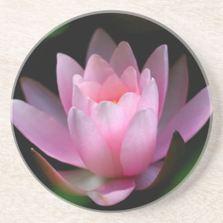 flower coster coaster