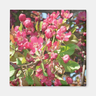 Flower Crab1 Magnet