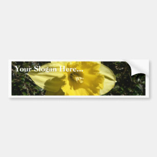 Flower Daffodil Bumper Sticker