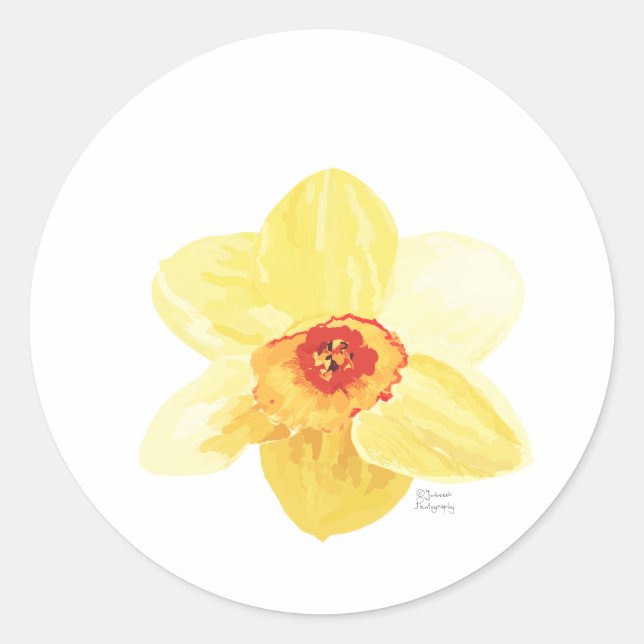 flower Daffodil Żonkila Classic Round Sticker (Front)