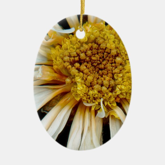 Flower - Daisy - Drunken sun Ceramic Tree Decoration (Front)