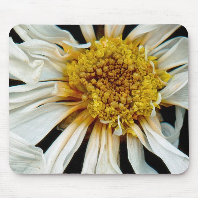 Flower - Daisy - Drunken sun Mouse Mat (Front)