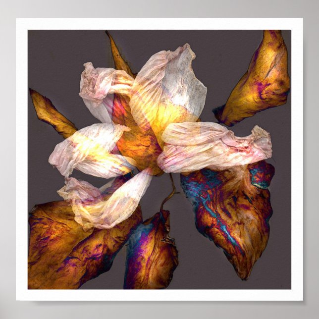 Flower Dance Poster (Front)