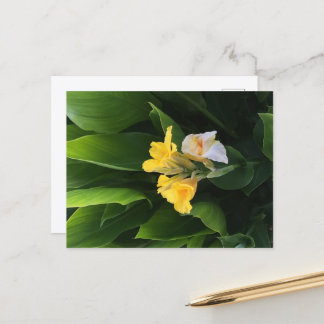 Flower Delivery Postcard