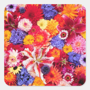 Flower design of Dalhia, Oriental Lilies, Square Sticker