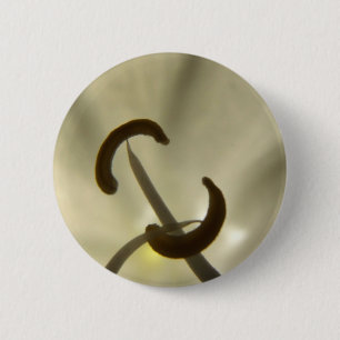 Flower Details Button