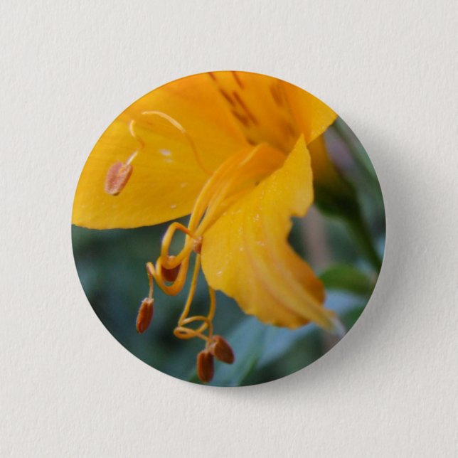 Flower Details Button (Front)