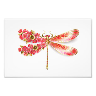 Flower dragonfly with jewellery sakura photo print