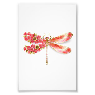 Flower dragonfly with jewellery sakura photo print