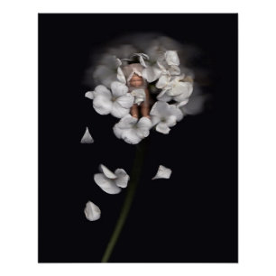 Flower Fairies 1 Poster