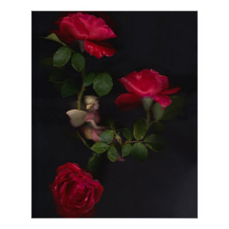 Flower Fairies 2 Poster