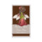 Flower Fairy D4 Fantasy Whimiscal Business Cards