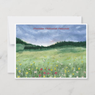 Flower Field Landscape  Postcard