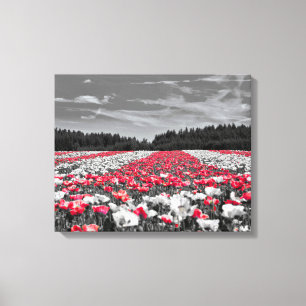 Flower Field Minimalist Selective Colour Photograp Canvas Print