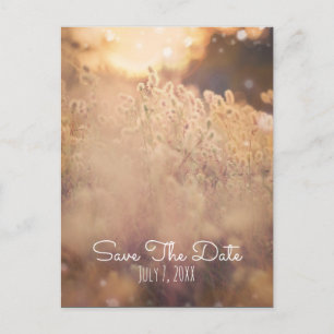 Flower Field Rustic Country Wedding Save The Date Announcement Postcard