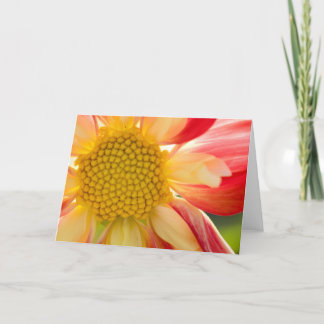 Flower Fire greeting card