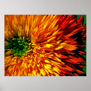Flower Fireworks Poster