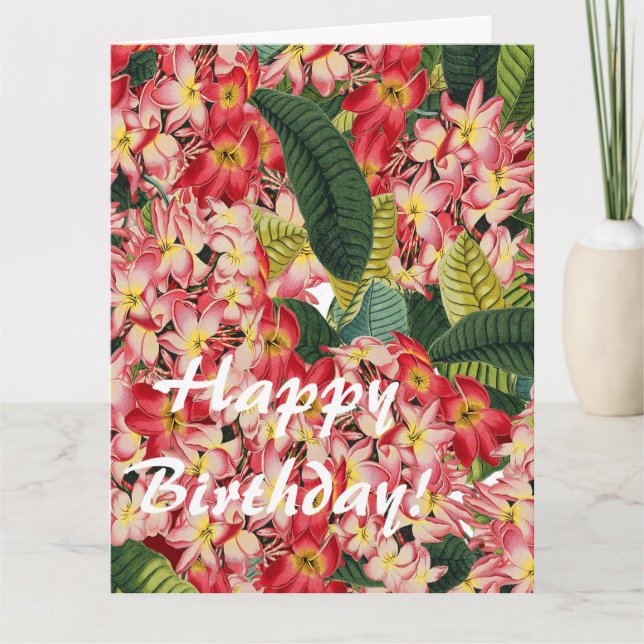 Flower Floral Botanical Plumeria Big Birthday Card (Front)