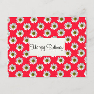 Flower floral design daisies on red pink postcard