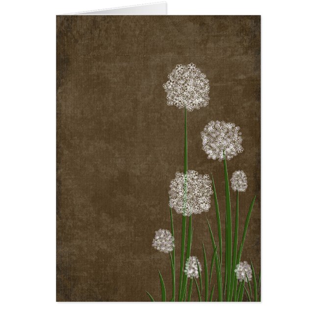 Flower Fluff (Front)