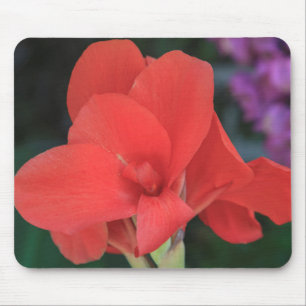 Flower found in the gardens of the D. Carlos I Mouse Mat