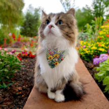 Flower Garden
