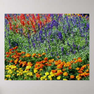 Flower Garden Digital Art Painting Poster