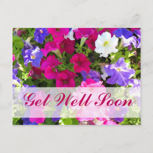 flower garden Get Well Soon Postcard