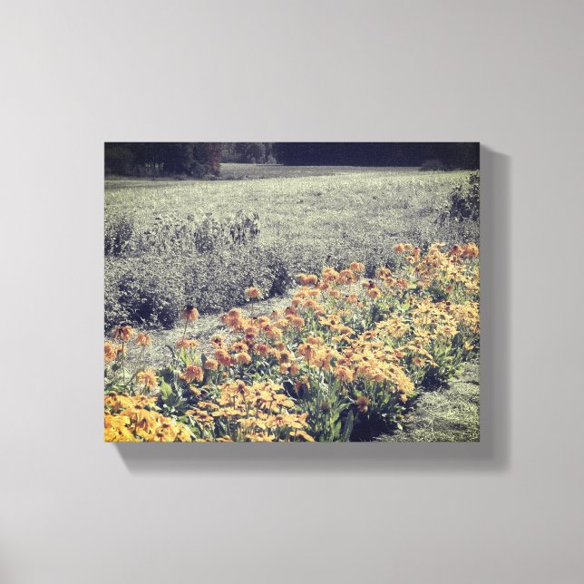 Flower Garden In Black And White Canvas Print (Front)