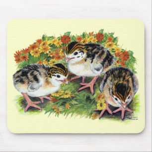 Flower Garden Keets Mouse Mat
