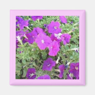 Flower Garden Magnet