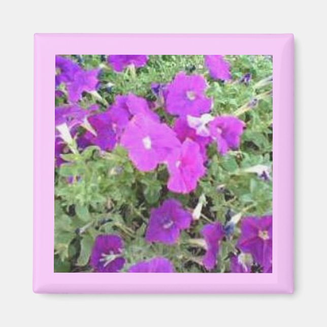 Flower Garden Magnet (Front)