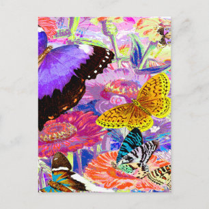 Flower Garden Postcard