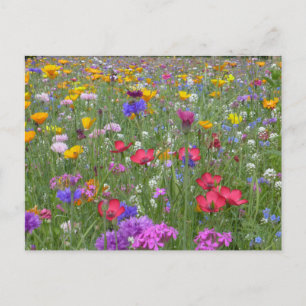 Flower Garden Postcard