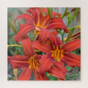 Flower Garden Red Daylillies Green Leaves Photo Jigsaw Puzzle
