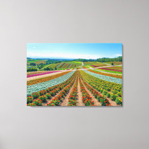 Flower Garden   Shikisai No Oka Flower Farm Canvas Print