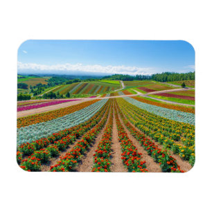 Flower Garden Shikisai No Oka Flower Farm Magnet