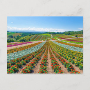 Flower Garden   Shikisai No Oka Flower Farm Postcard