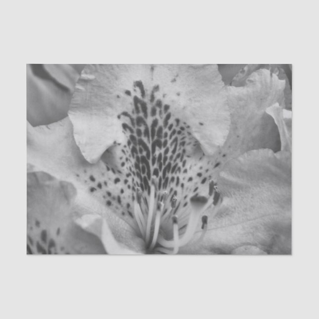 flower gray tissue paper (Front)