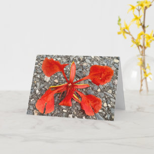 Flower Greeting Card