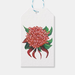 Flower Hand drawn Waratah Stickers Gift Tags