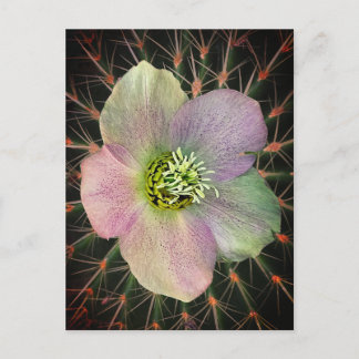 Flower  holiday postcard