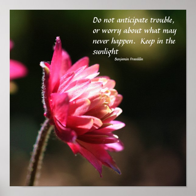 Flower In Sun Inner Peace Quote Inspirational Poster (Front)