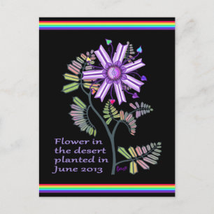 Flower in the desert Postcard
