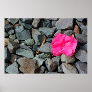 "Flower in the Rough" poster