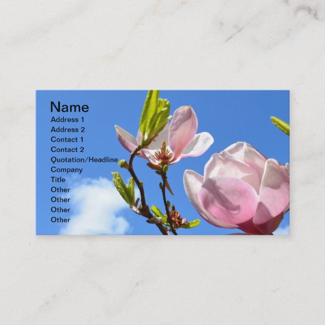 Flower in the Sky Business Card (Front)