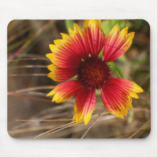 Flower in the Wind Mouse Mat